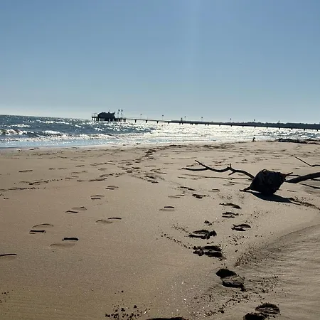 Sunny By The *