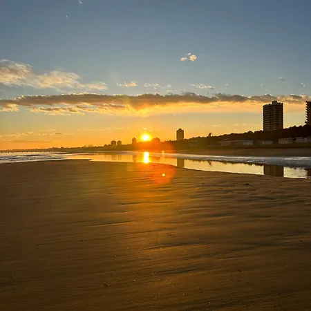 Sunny By The Apartamento *