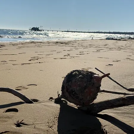 Sunny By The Apartamento *